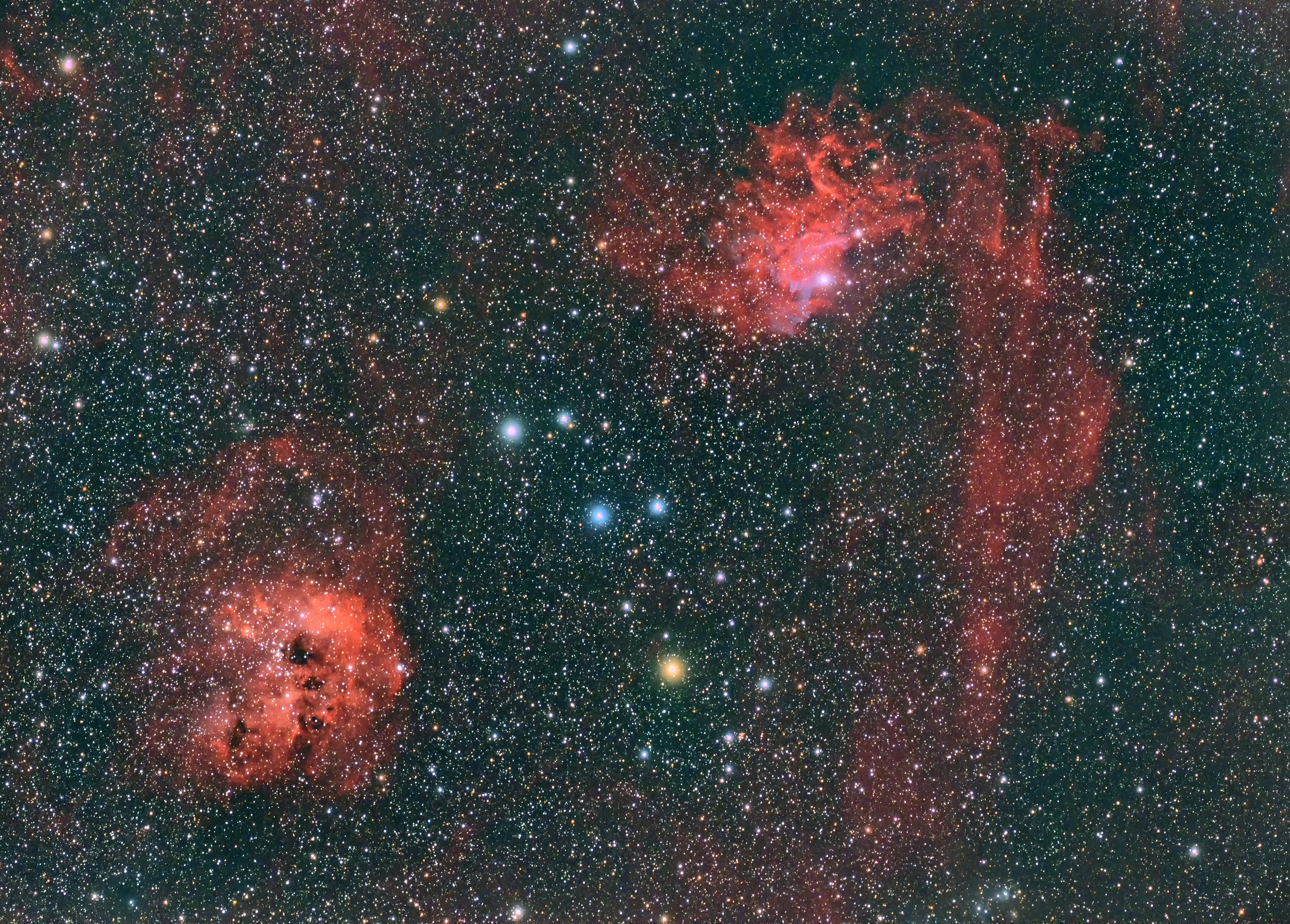 勾玉星雲（IC405）とその中心部など | 天体写真 | 高津科学